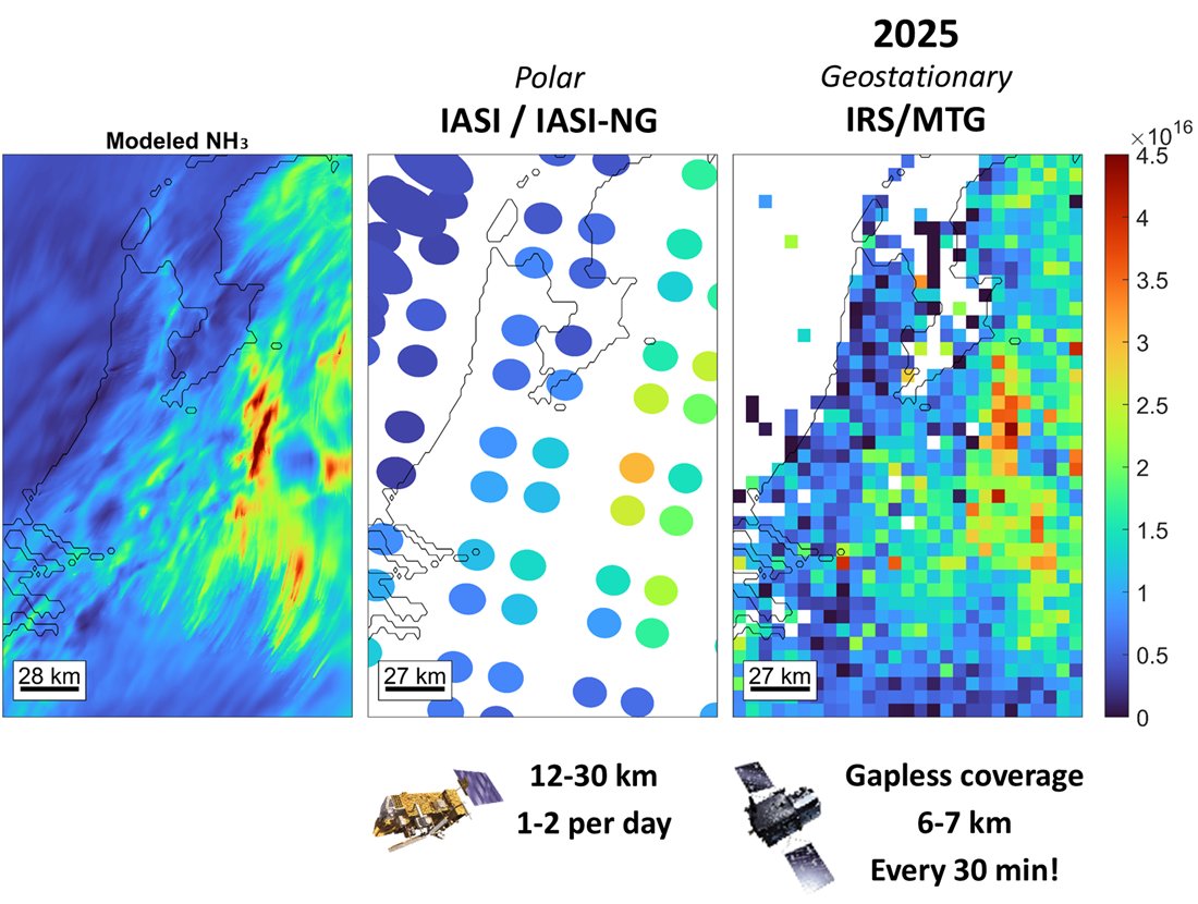 Maps of modelled NH3, IASI / IASI-NG and IRS/MTG measured NH3 over the Benelux